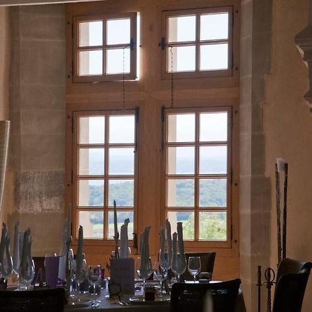 Готель Chateau Le Rosey Ньйон Екстер'єр фото