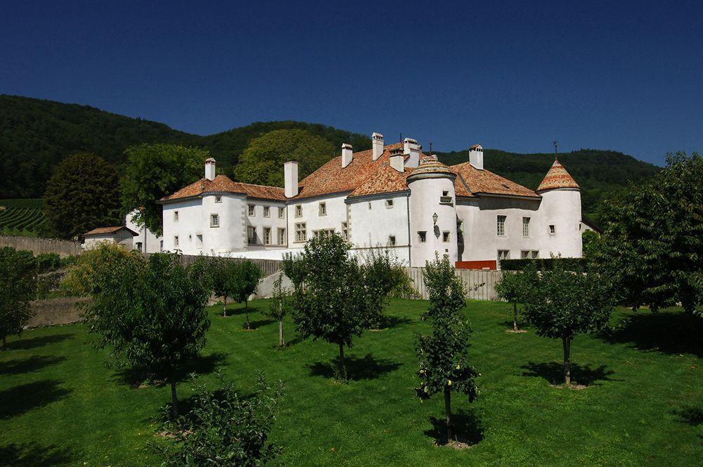 Готель Chateau Le Rosey Ньйон Екстер'єр фото