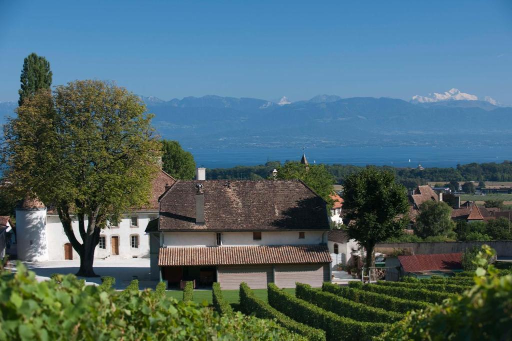 Готель Chateau Le Rosey Ньйон Екстер'єр фото