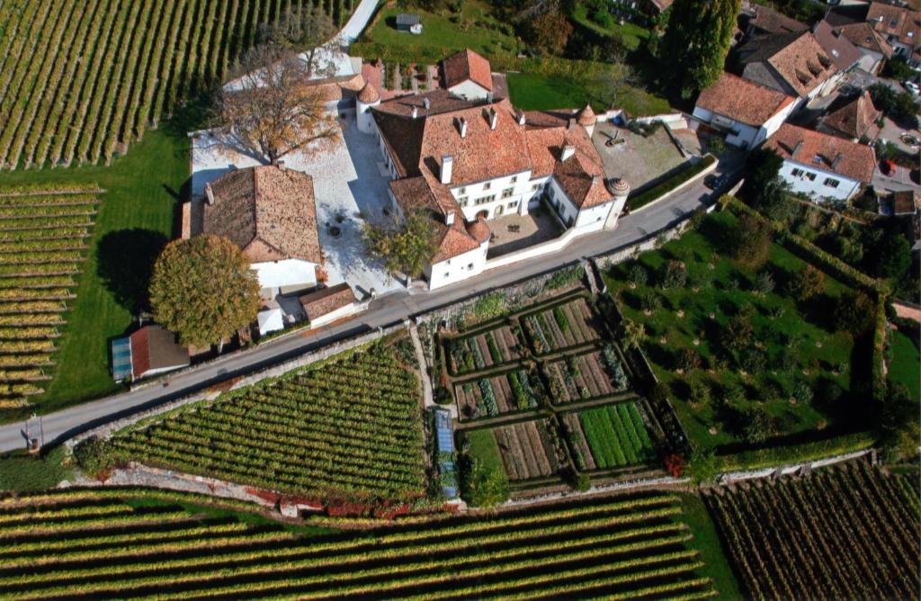 Готель Chateau Le Rosey Ньйон Екстер'єр фото